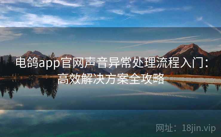 电鸽app官网声音异常处理流程入门:高效解决方案全攻略 电鸽app官网声音异常处理流程入门:高效解决方案全攻略