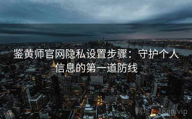 鉴黄师官网隐私设置步骤：守护个人信息的第一道防线