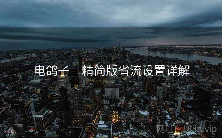 电鸽子|精简版省流设置详解 电鸽子|精简版省流设置详解