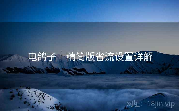 电鸽子｜精简版省流设置详解