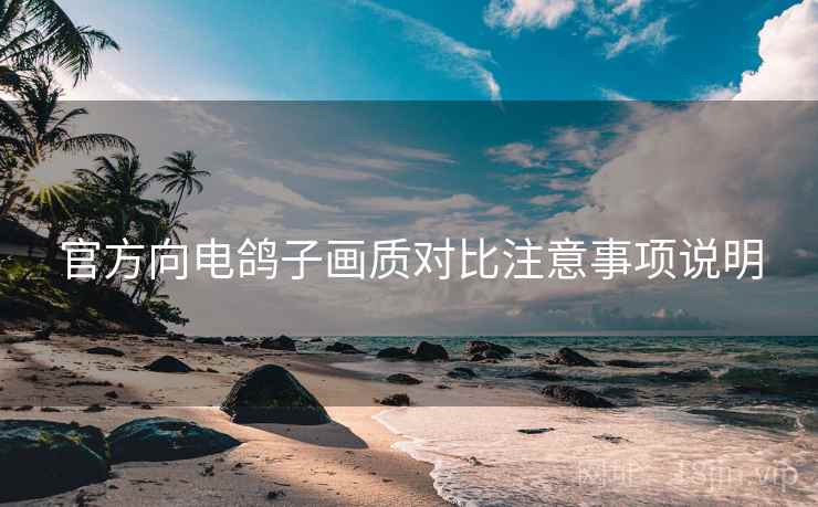官方向电鸽子画质对比注意事项说明