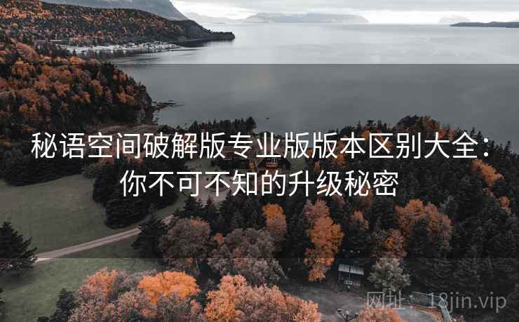 秘语空间破解版专业版版本区别大全：你不可不知的升级秘密