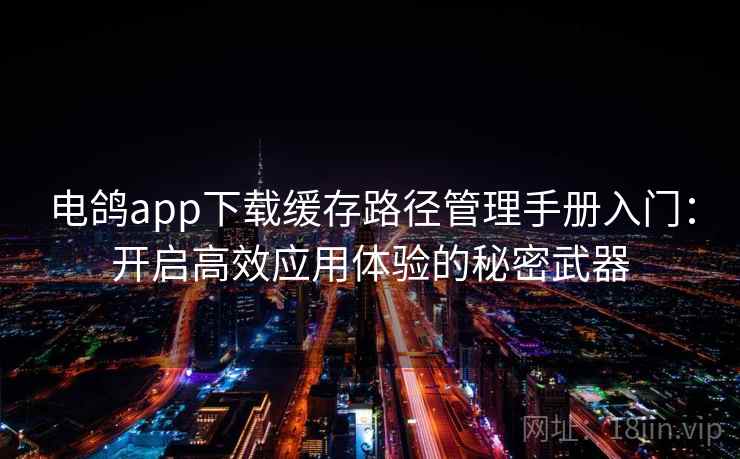 电鸽app下载缓存路径管理手册入门：开启高效应用体验的秘密武器