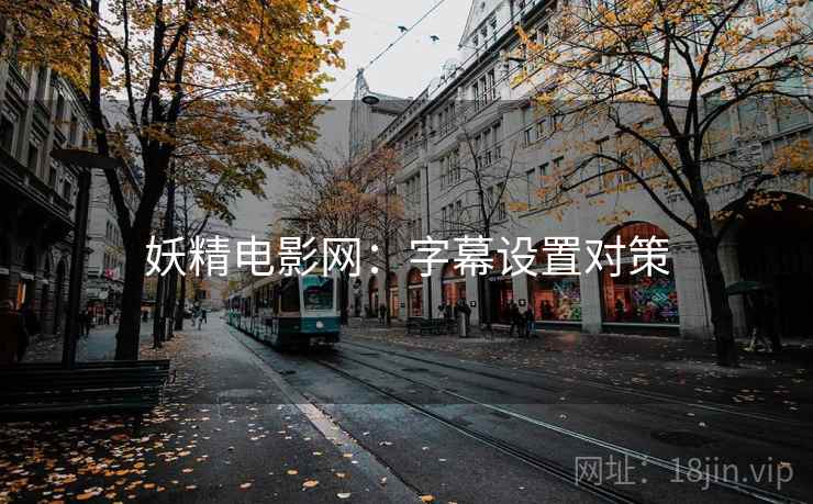 妖精电影网：字幕设置对策